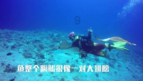 平面设计专业怎么样？游戏画面